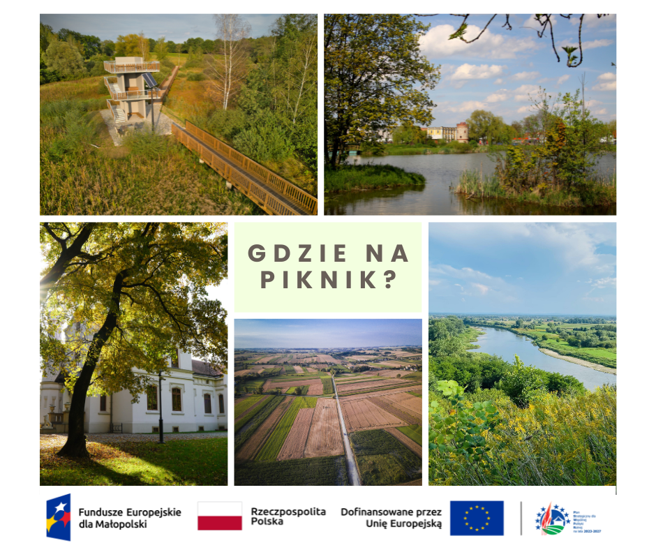 Grafika z podpisem "Gdzie na piknik" przedstawia zdjęcia miejsc z obszaru LGD opisane w artykule.